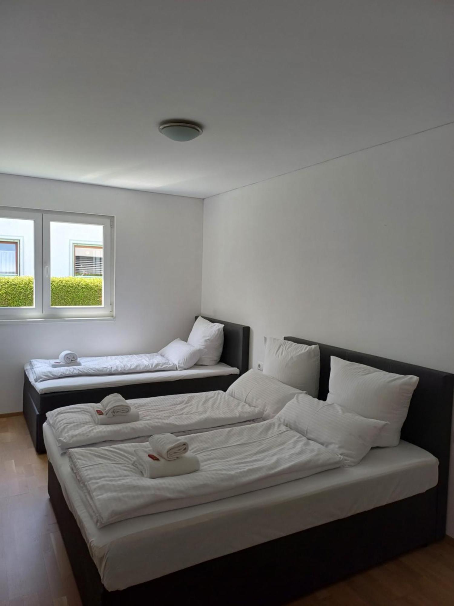 Crown Living Design Apartment - Gratis Parkplatz - Wlan - Kueche - Self Check-In Altach Ngoại thất bức ảnh