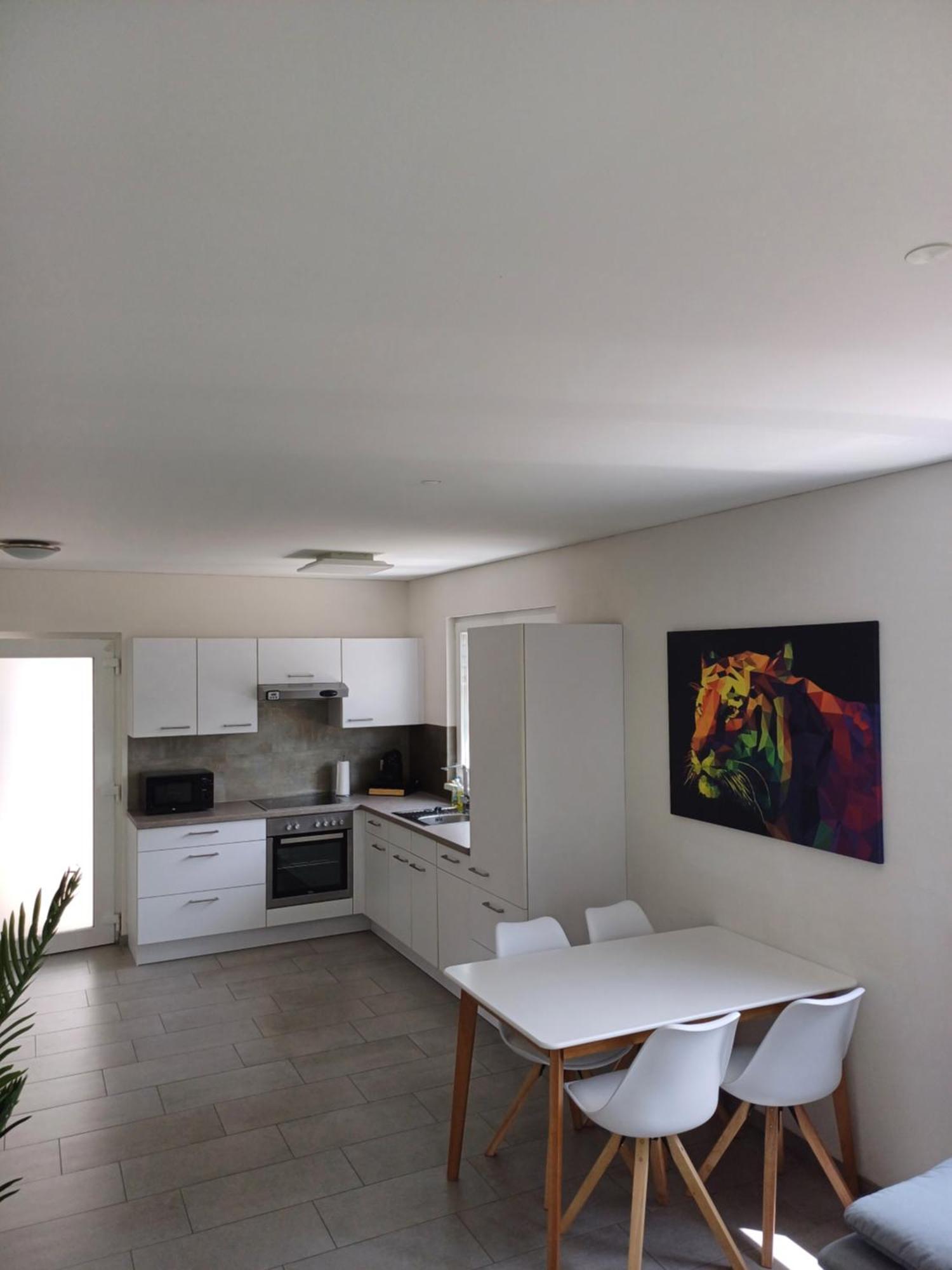 Crown Living Design Apartment - Gratis Parkplatz - Wlan - Kueche - Self Check-In Altach Ngoại thất bức ảnh